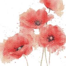 water colour poppies.jpg